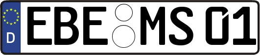 EBE-MS01
