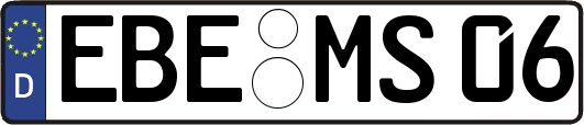 EBE-MS06
