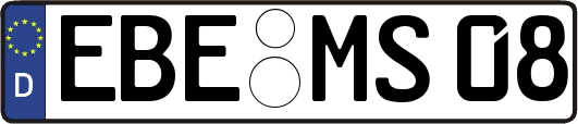 EBE-MS08