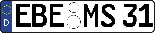 EBE-MS31