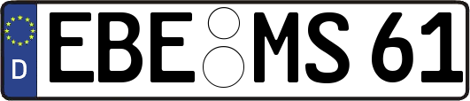 EBE-MS61