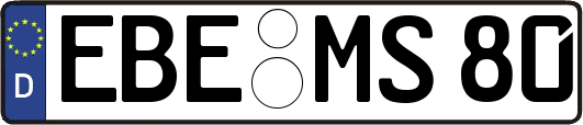 EBE-MS80