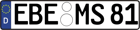 EBE-MS81