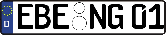 EBE-NG01
