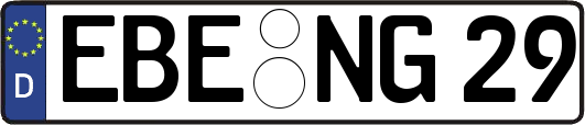 EBE-NG29