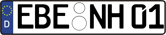 EBE-NH01