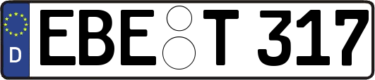 EBE-T317