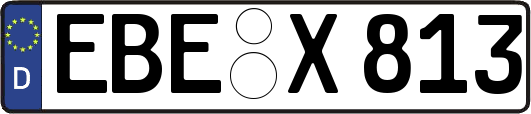 EBE-X813
