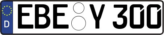 EBE-Y300