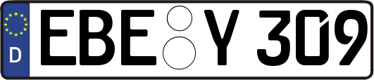 EBE-Y309