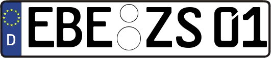 EBE-ZS01