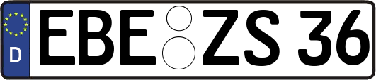 EBE-ZS36