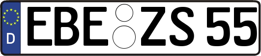 EBE-ZS55