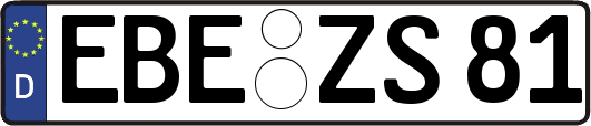 EBE-ZS81