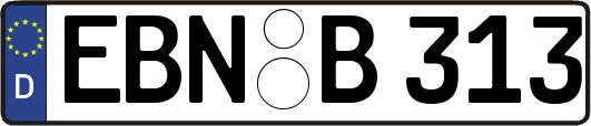 EBN-B313