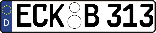 ECK-B313