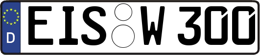 EIS-W300