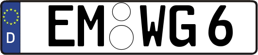EM-WG6