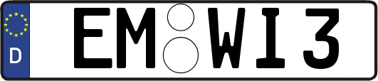 EM-WI3