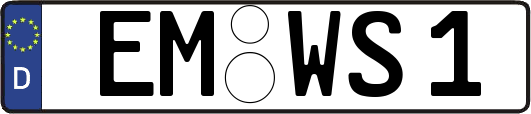 EM-WS1