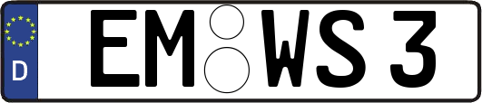 EM-WS3