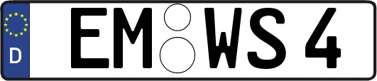 EM-WS4