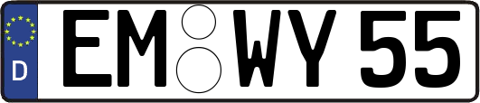 EM-WY55