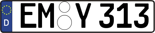 EM-Y313
