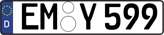 EM-Y599