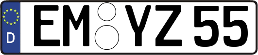 EM-YZ55