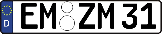 EM-ZM31