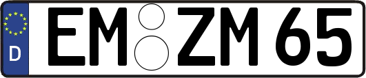 EM-ZM65