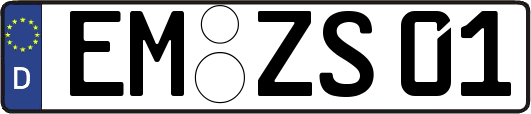 EM-ZS01