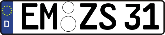 EM-ZS31