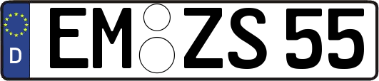 EM-ZS55