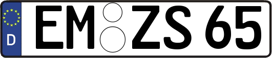 EM-ZS65