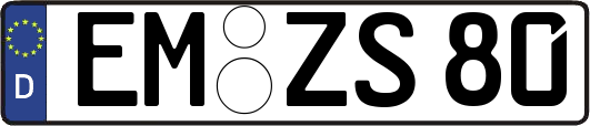 EM-ZS80