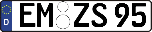 EM-ZS95