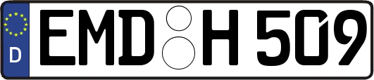EMD-H509