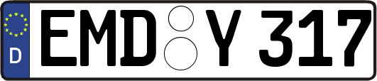EMD-Y317
