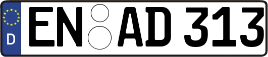 EN-AD313