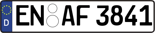 EN-AF3841