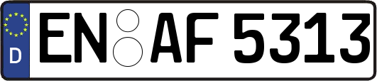EN-AF5313