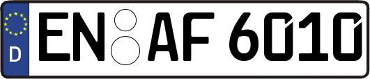 EN-AF6010