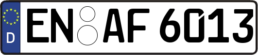EN-AF6013