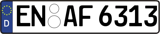 EN-AF6313