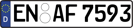 EN-AF7593