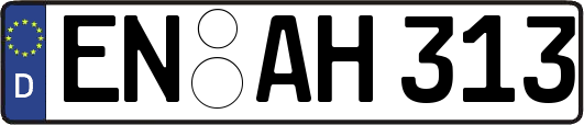 EN-AH313