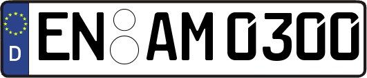 EN-AM0300