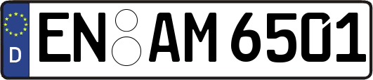 EN-AM6501